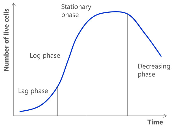 Stages of propagation