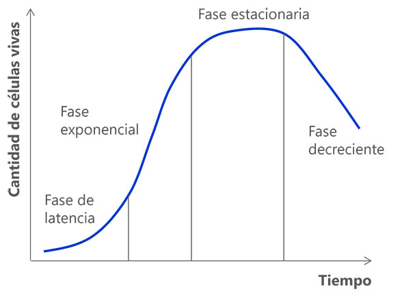 Tareas de la gestión de levaduras Tareas de la gestión de levaduras