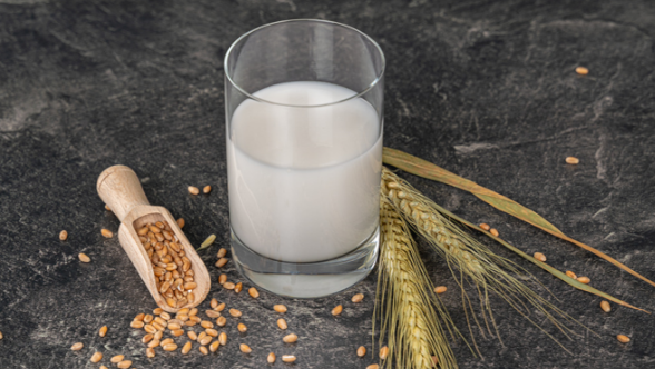 Protein als Schatz Protein als Schatz
